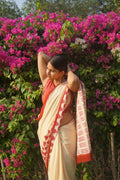 Pinterest inspired sarees
