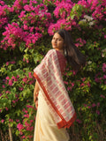 Red Pinterest inspired saree